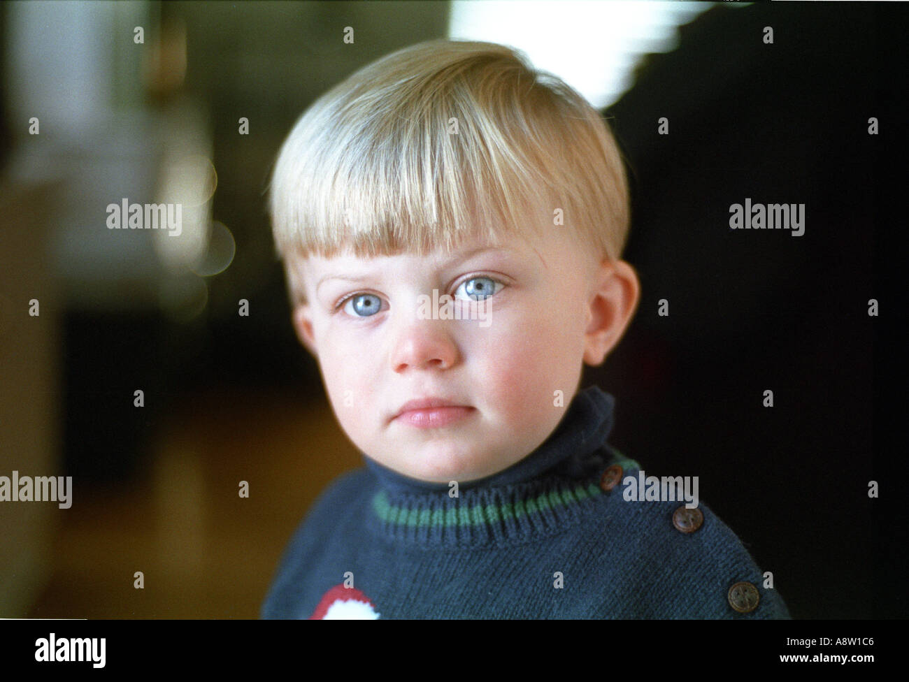 Cute boy with light skin and blonde hair looking directly Stock Photo -  Alamy