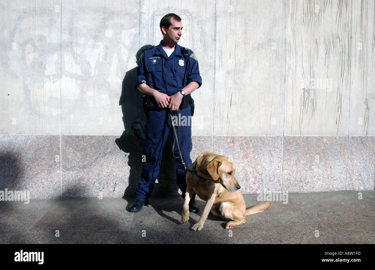 Bomb dog with police officer handler special terrorism bomb detection