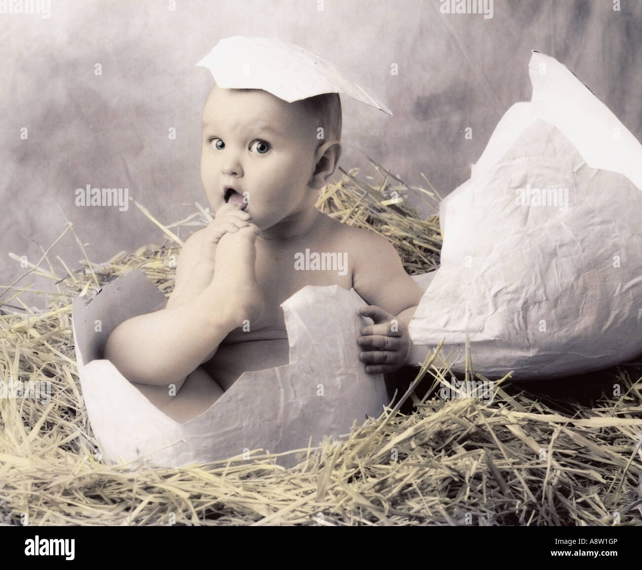 Studio Montage Concept Of A Baby Emerging From An Egg Stock Photo Alamy Studio Montage Concept Of A Baby Emerging From An Egg Stock Photo Alamy