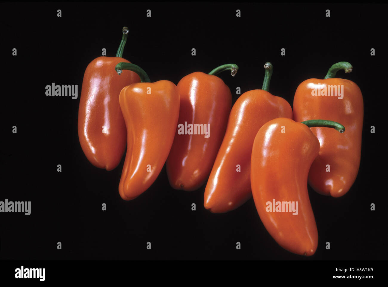 Sweet baby orange peppers grouped on a black background Stock Photo