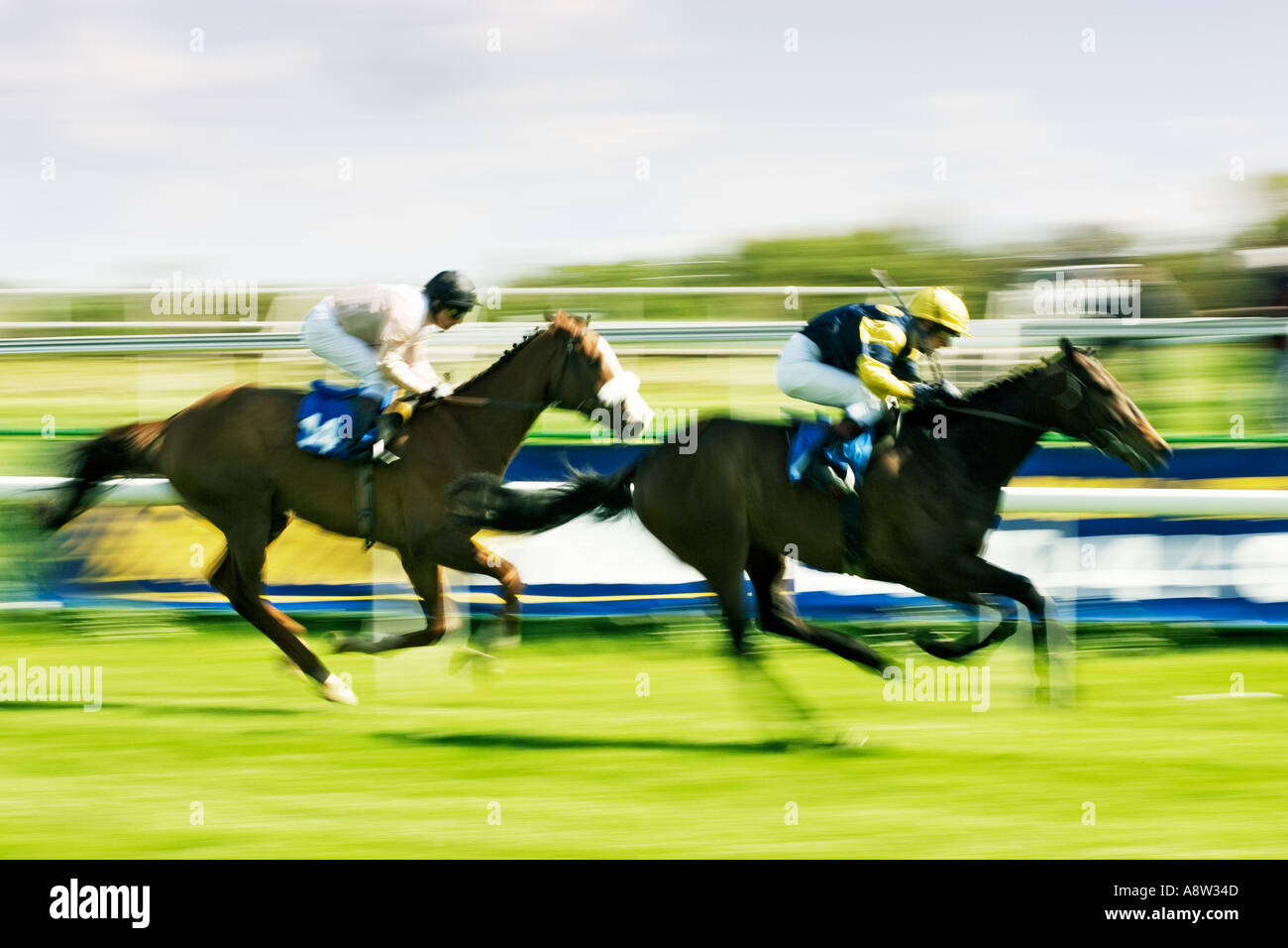 Horse Racing - in race to the finish line Stock Photo