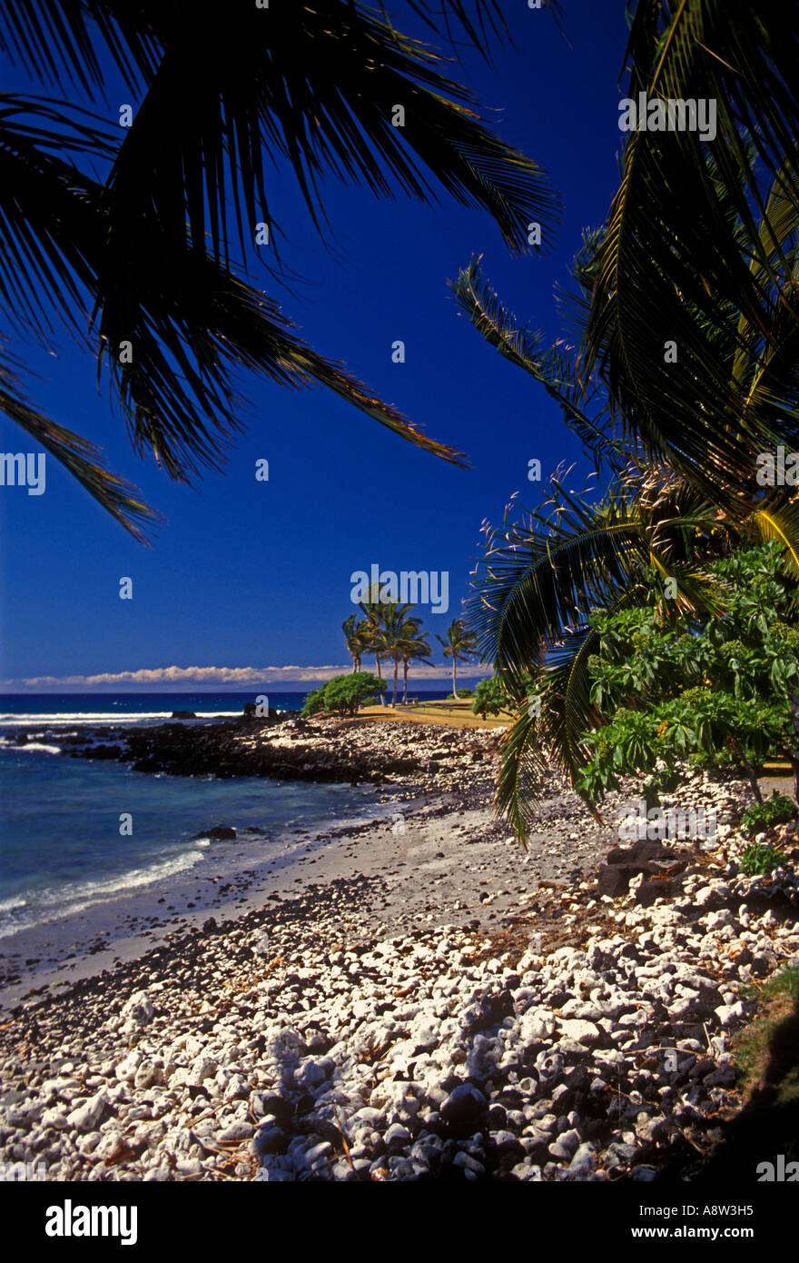 Coast along Pauoa Bay at Ritz Carlton Mauna Lani Resort Mauna Lani