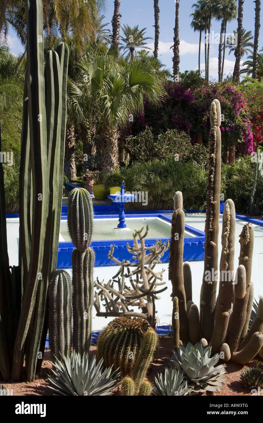 The beautiful tropical Jardins Majorelle in Marrakech Morocco Stock Photo