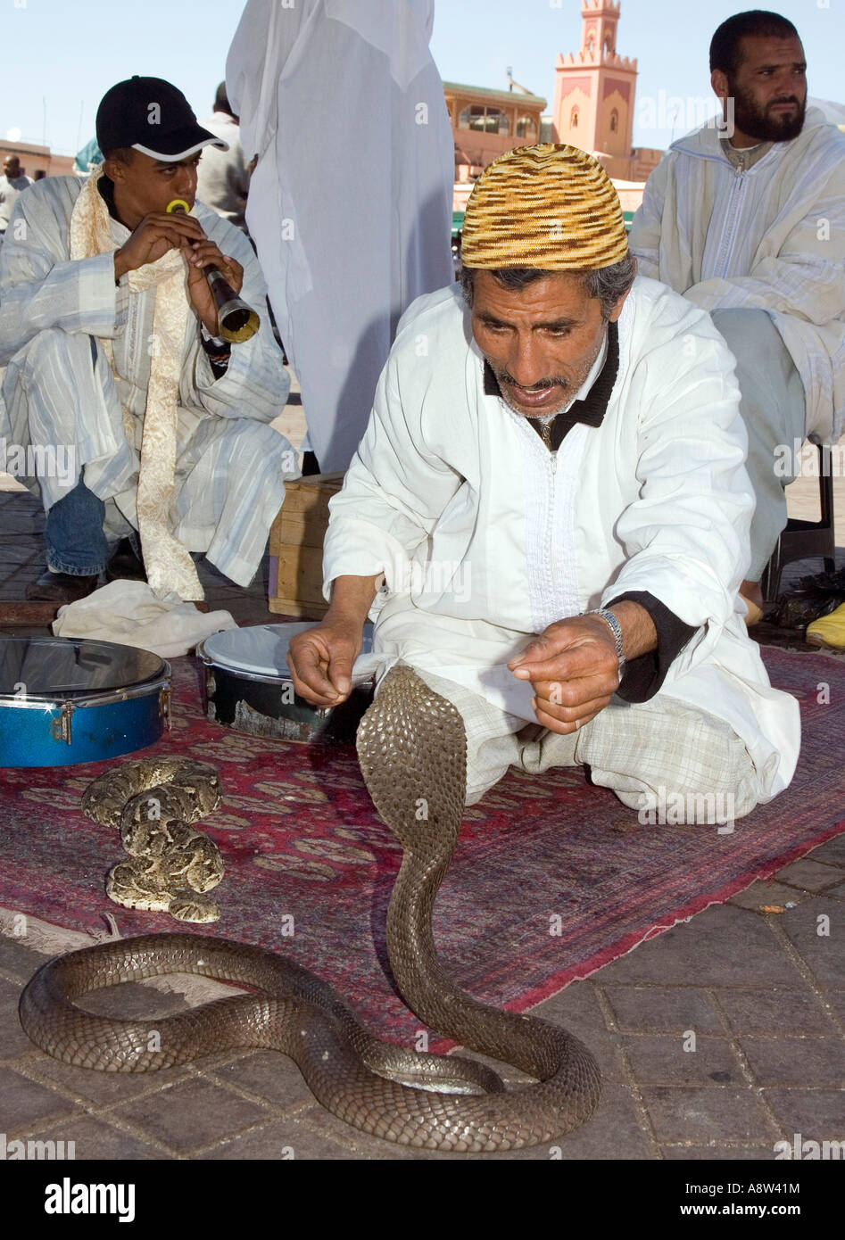 Snake Charmers in Jemaa El Fna Square in Marrakech Stock Photo Alamy
