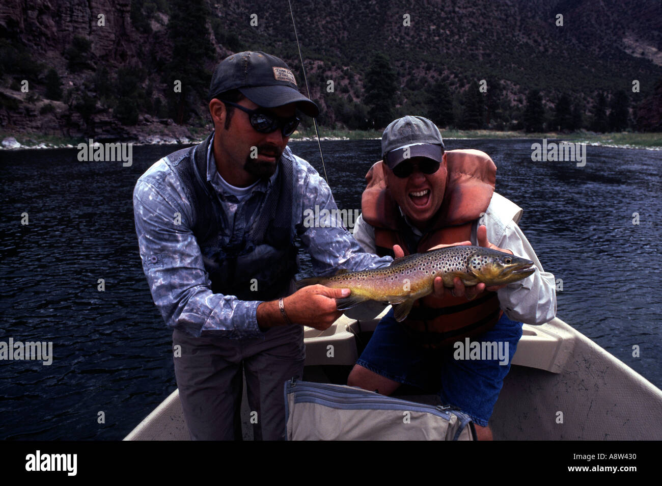 Trout fly fishing Green River Utah USA Stock Photo Alamy