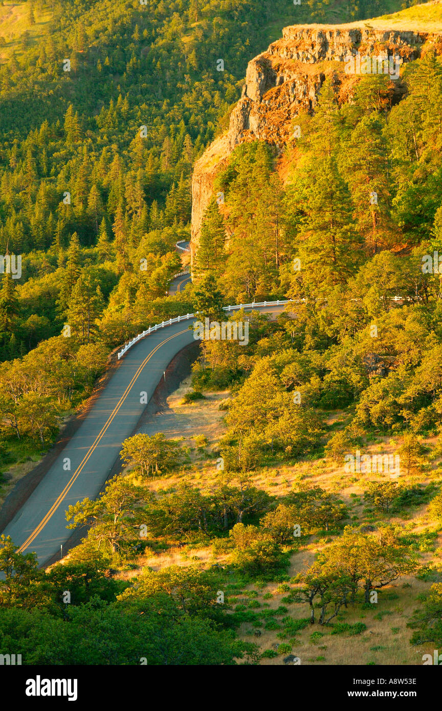 The Rowena Loops on the Historic Columbia River Highway Columbia River