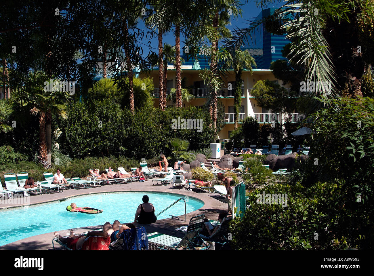 MGM Grand Hotel and Casino - The Director's Pool at the MGM Grand Hotel &  Casino