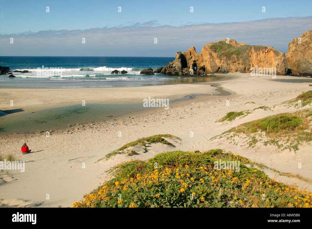 A visitor sits on the beach at Pfieffer Big Sur State Park and Pfeiffer
