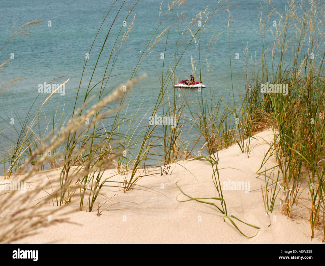 Sand Dune and Sea Oats Stock Photo Alamy