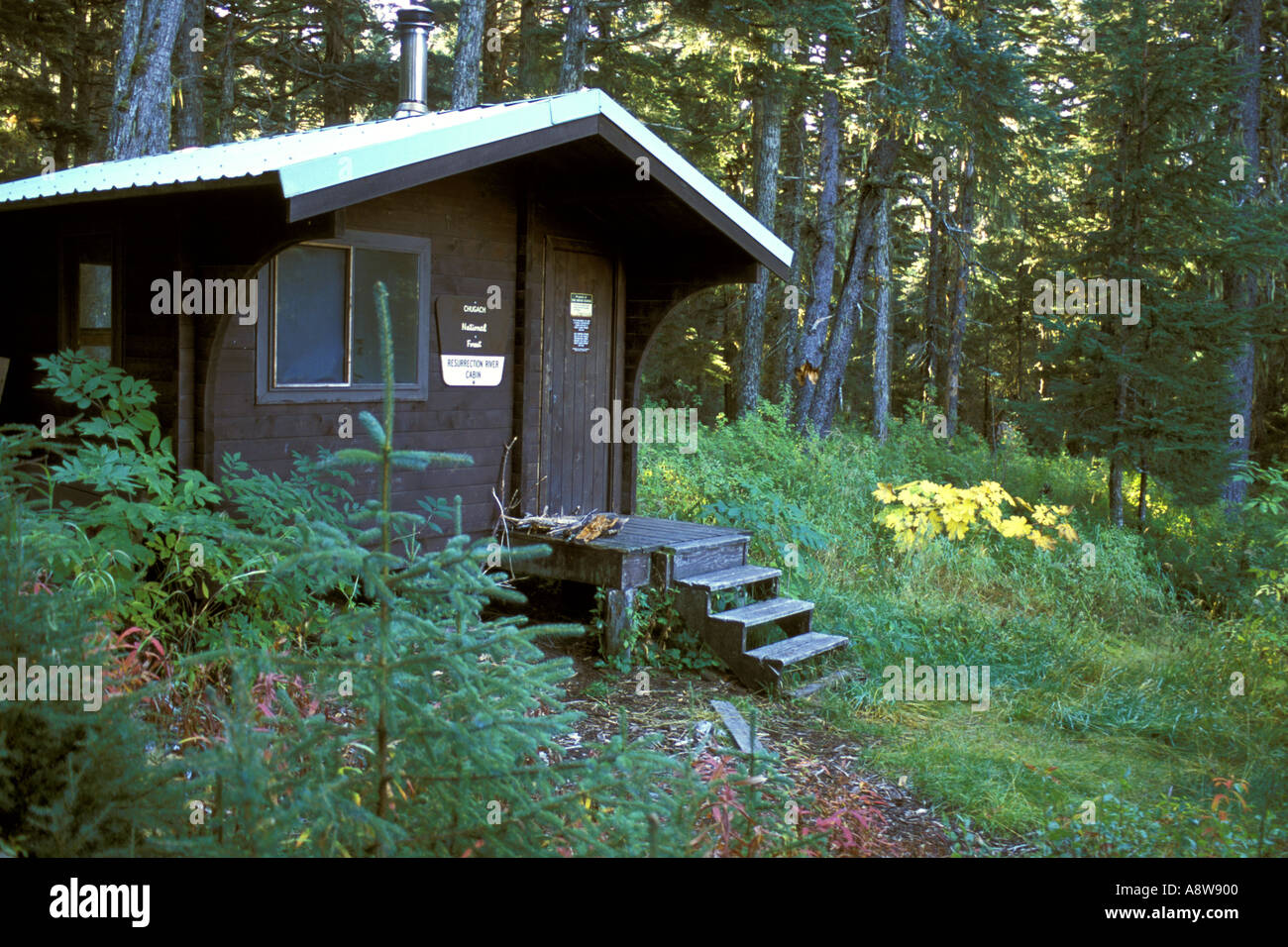 Resurrection River Cabin Along The Resurrection River Trail