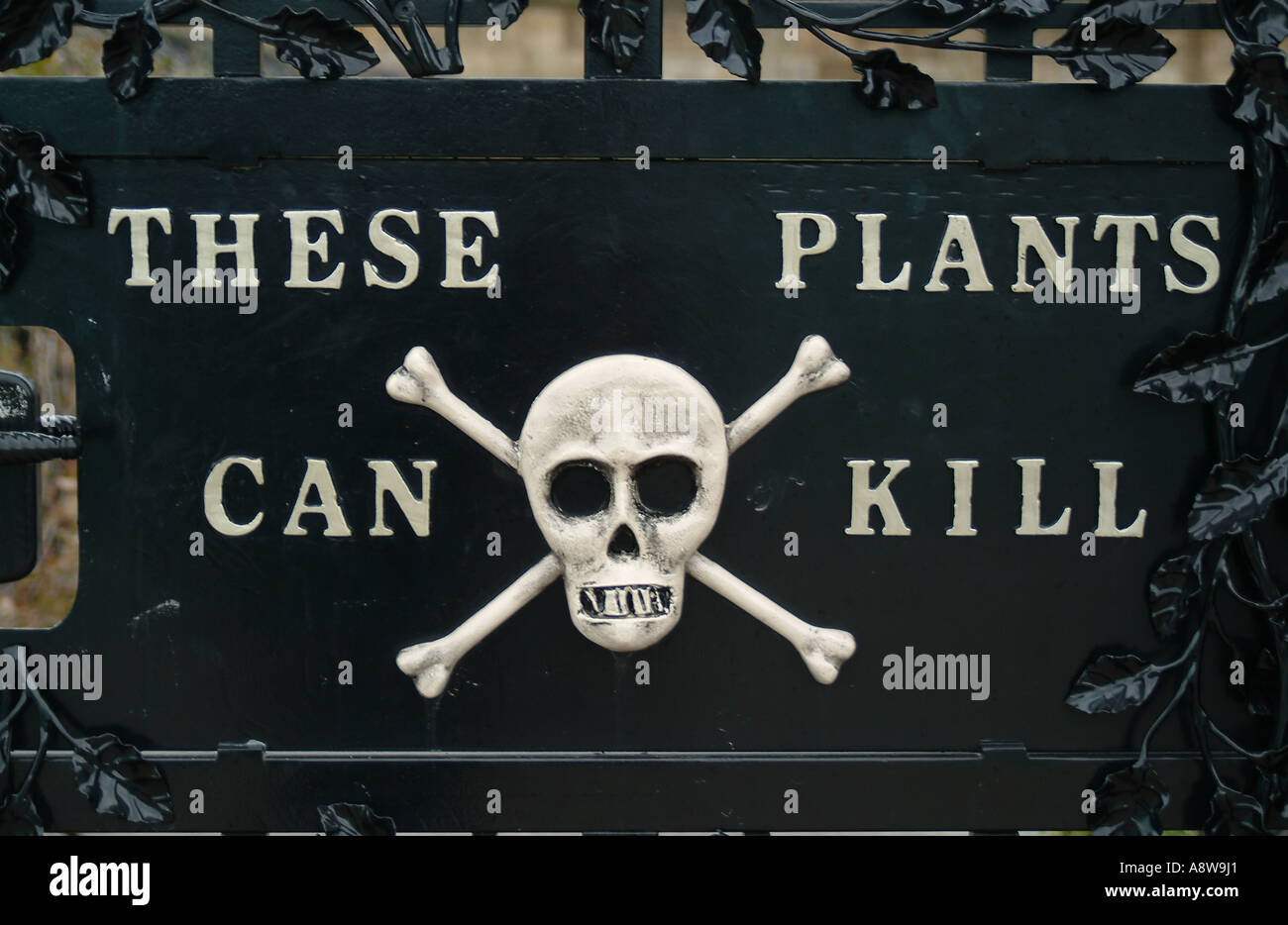 These plants can kill. The poison garden at Alnwick Water Garden, Alnwick, Northumberland Stock