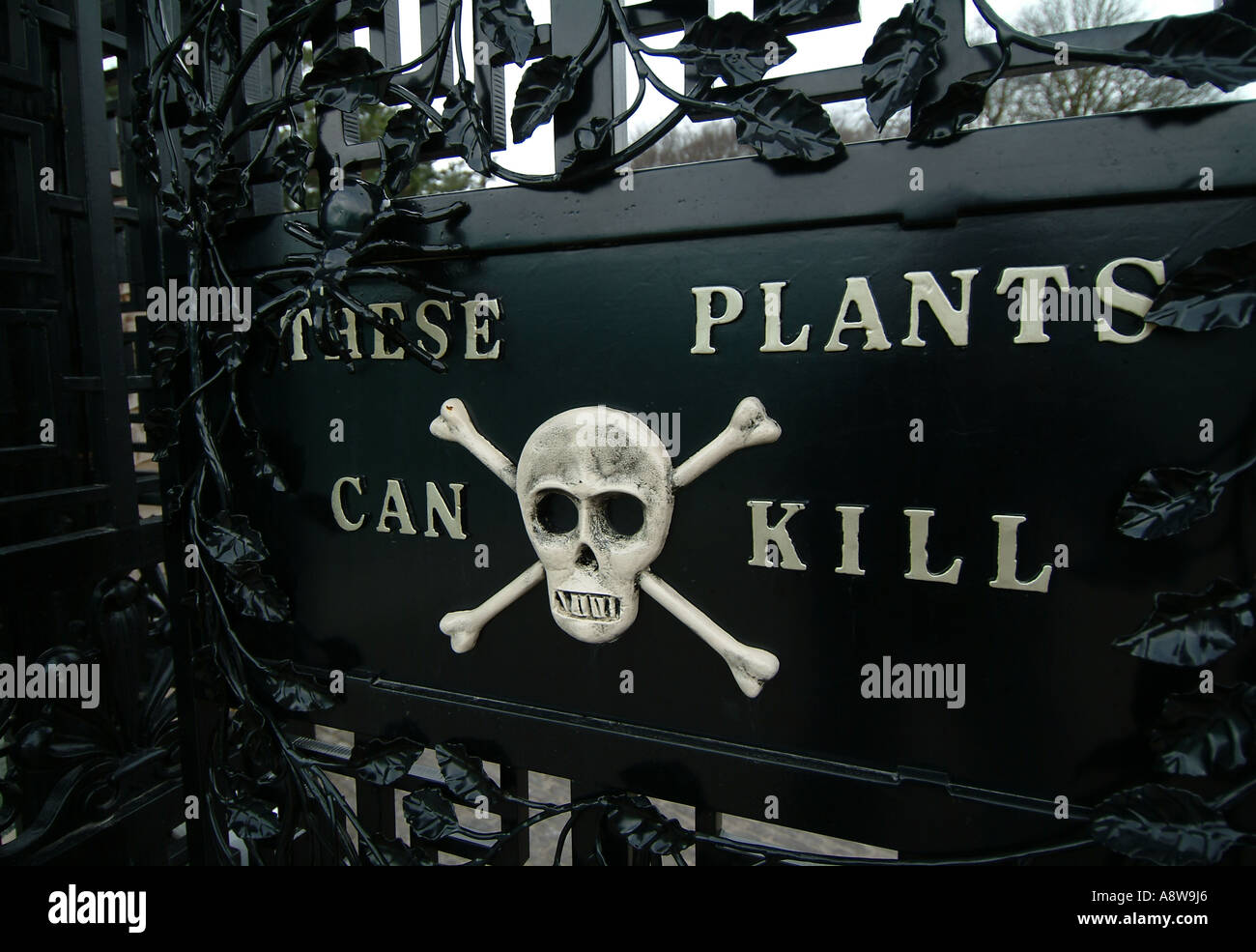 These plants can kill. The poison garden at Alnwick Water Garden, Alnwick, Northumberland Stock