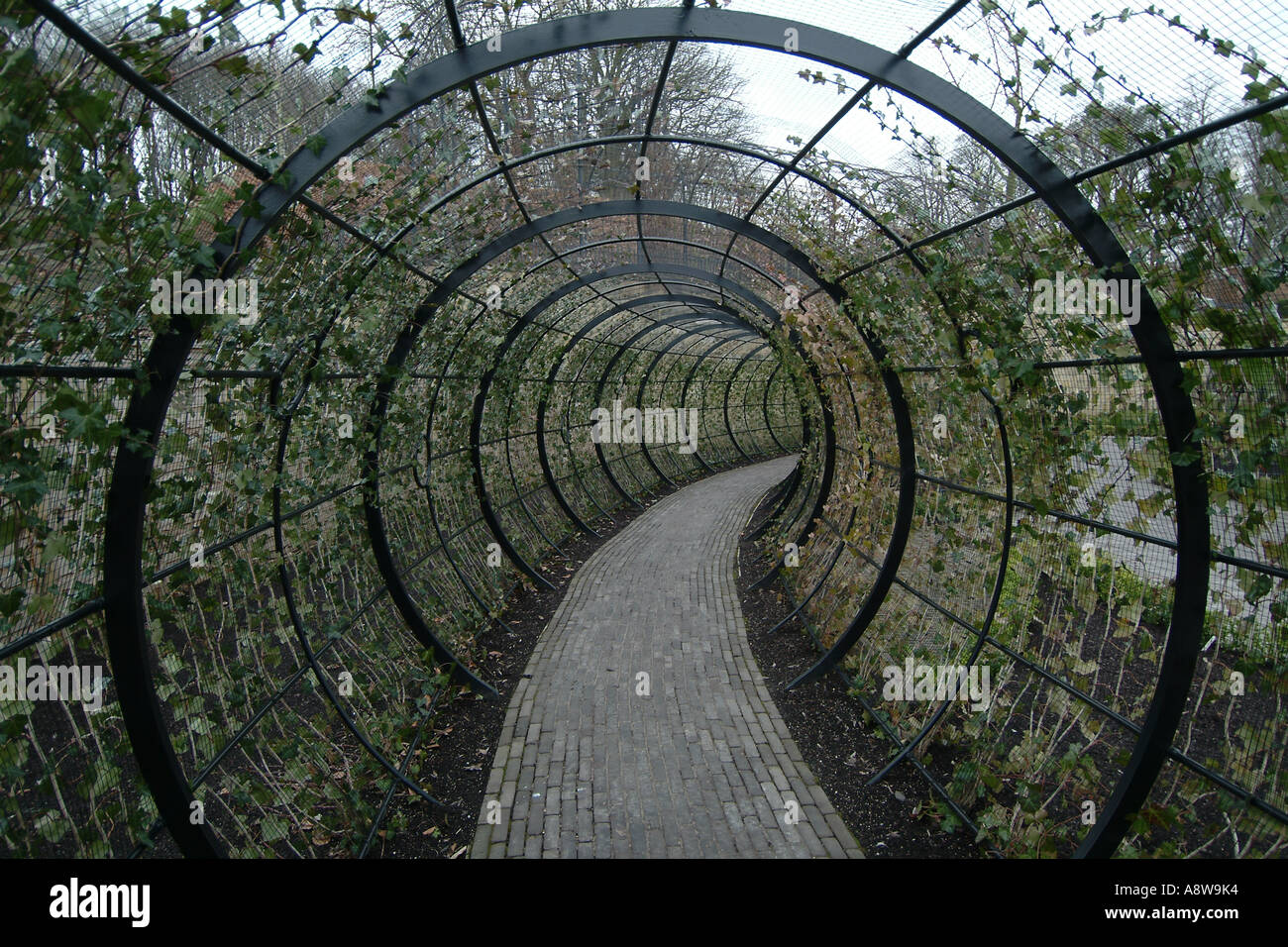 Garden Tunnel In The Poison Garden At Alnwick Water Garden