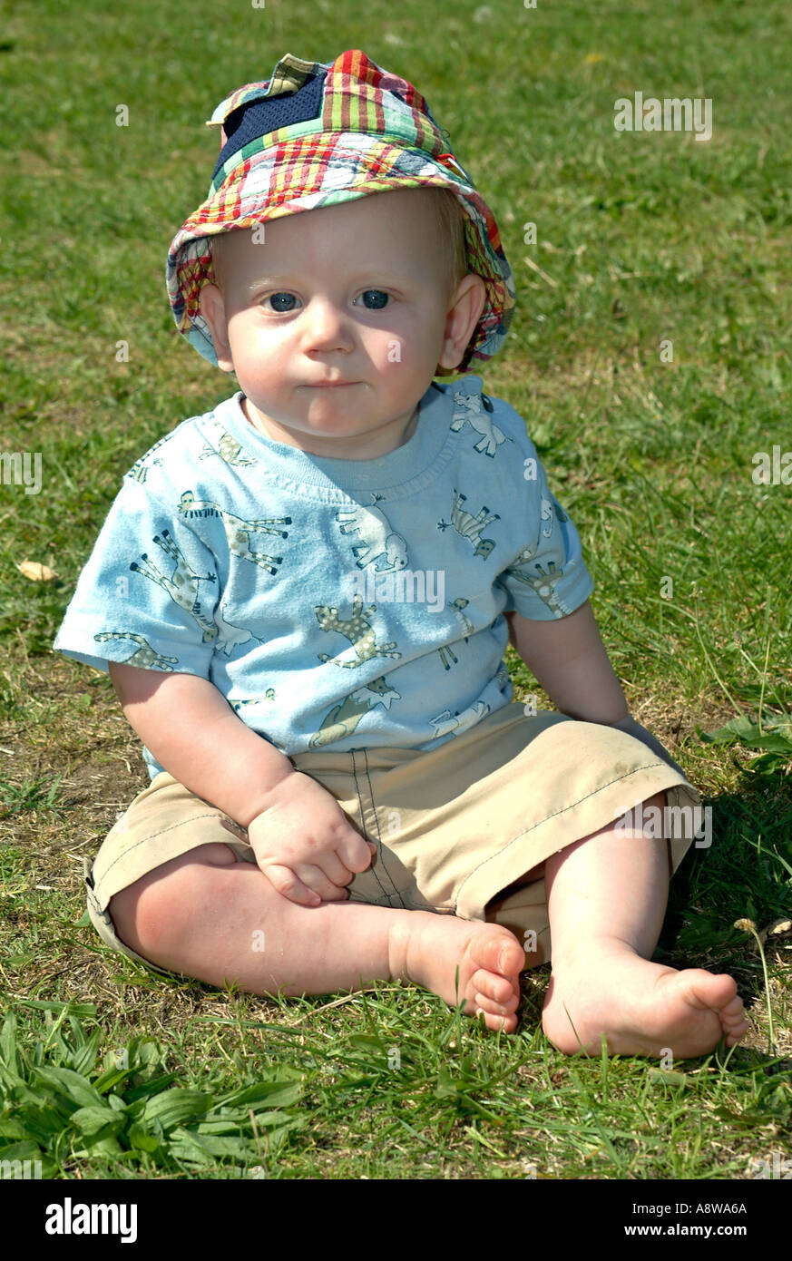 An Eight month Old Baby Boy Sitting In A Garden Stock Photo Alamy an-eight-month-old-baby-boy-sitting-in-a-garden-stock-photo-alamy