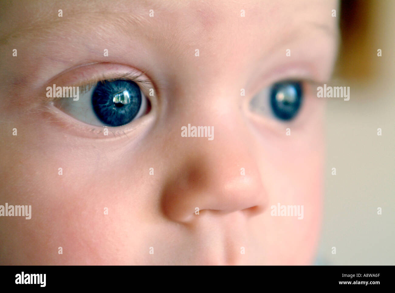 an-eight-month-old-baby-boy-s-eyes-stock-photo-alamy