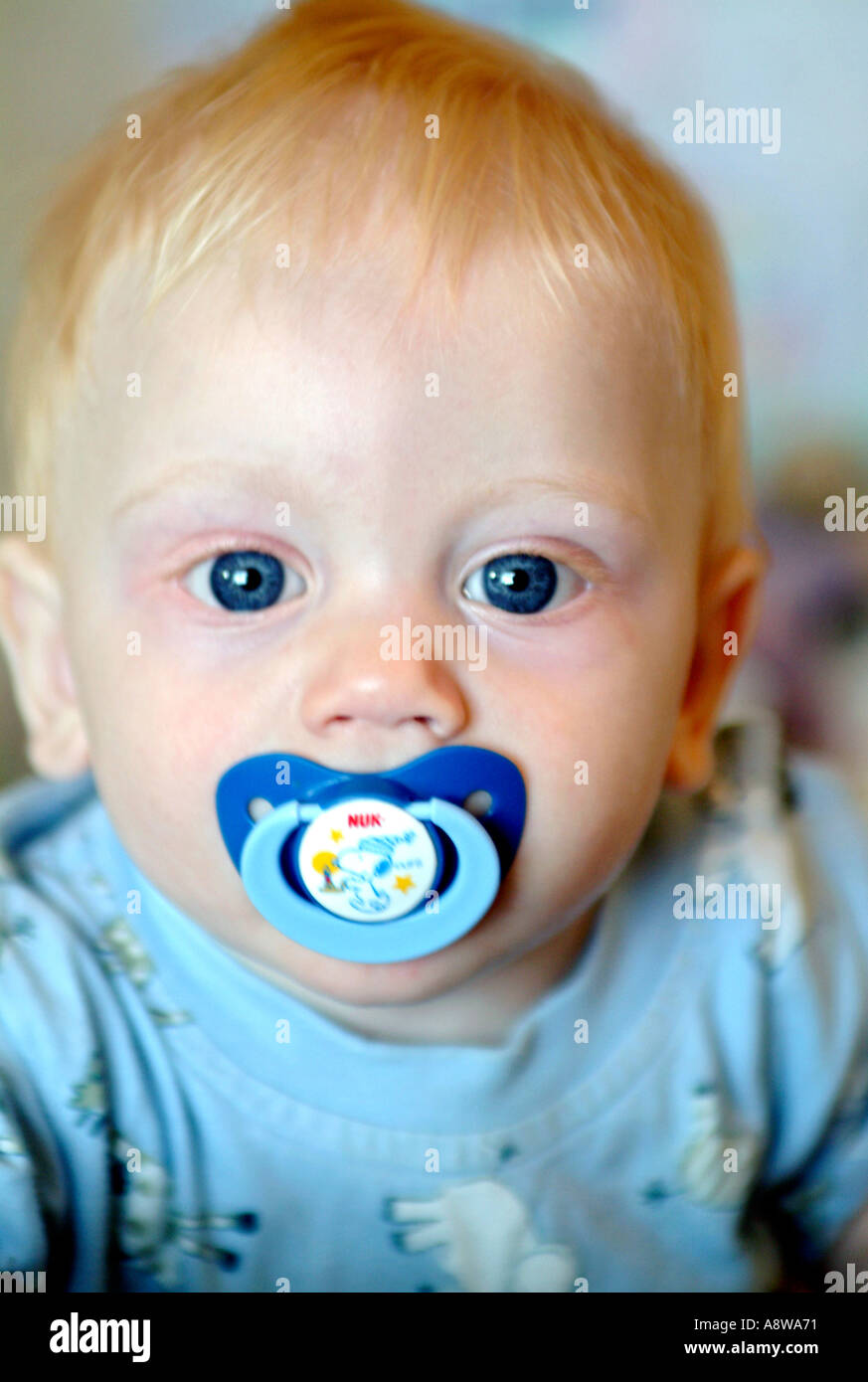 Portrait of an eightmonth old baby boy with a dummy in his mouth Stock