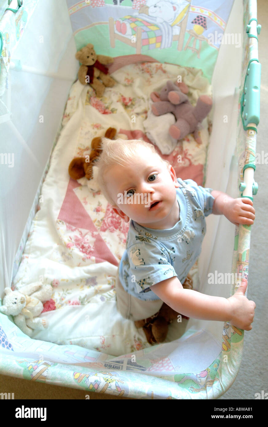 An eightmonth old baby boy in his cot Stock Photo Alamy
