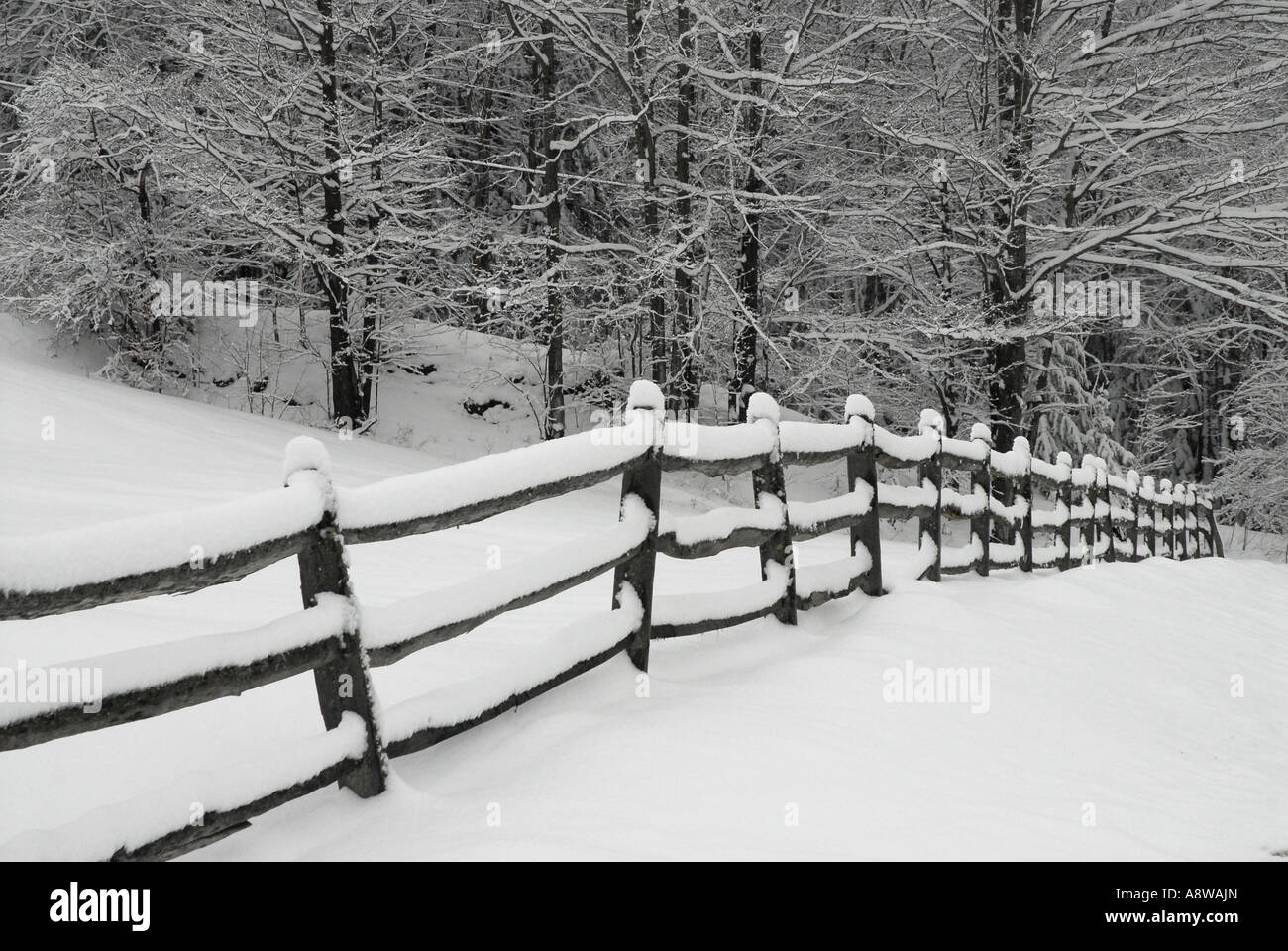 Split rail fence in Winter Stock Photo - Alamy