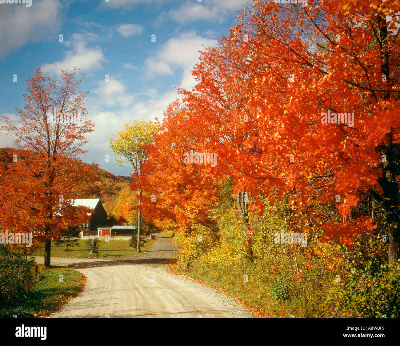 village of East Orange in Vermont USA during fall foliage season New