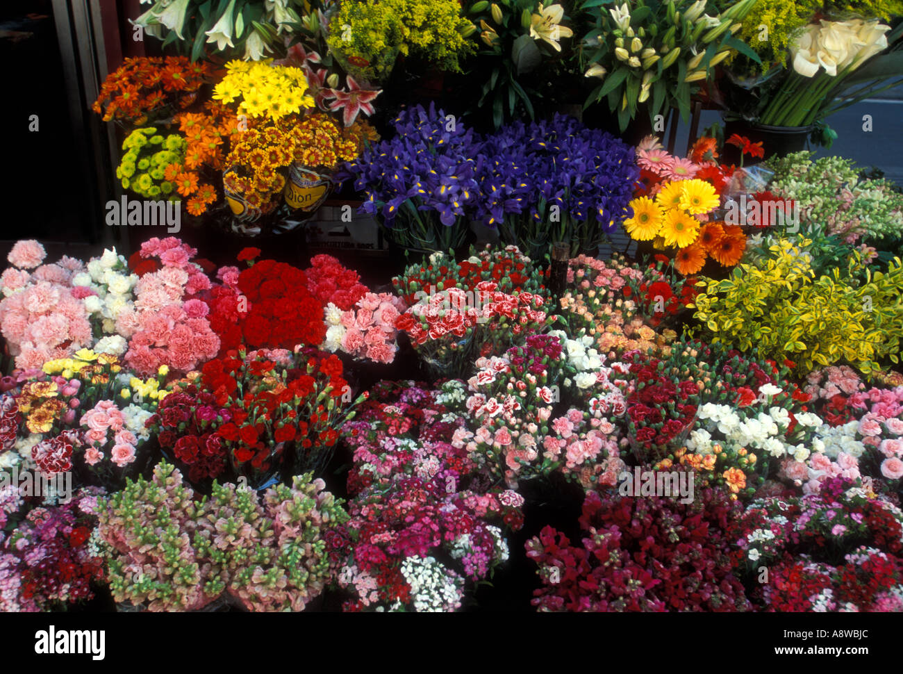 fresh flowers for sale, fresh flowers, flower market, La Rambla, city of Barcelona, Barcelona