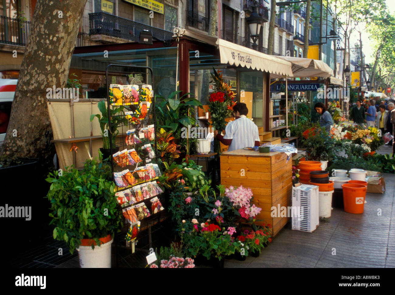 flower vendor, selling fresh flowers, seeds, seed packets, flower