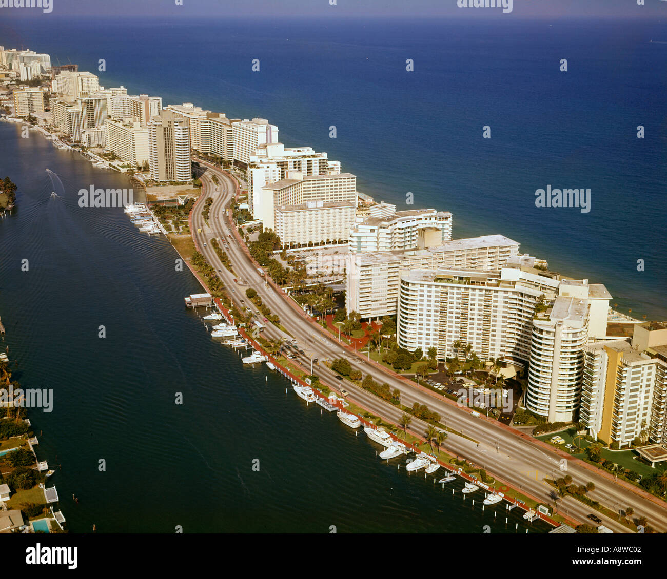 My Image 32