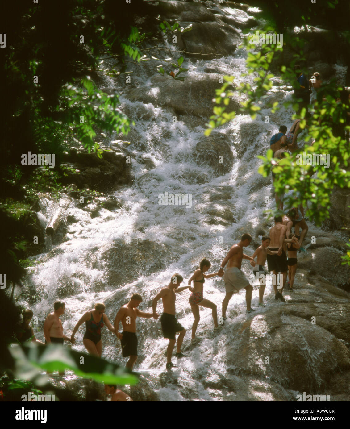 Jamaica. Ocho Rios. Dunns river falls Stock Photo