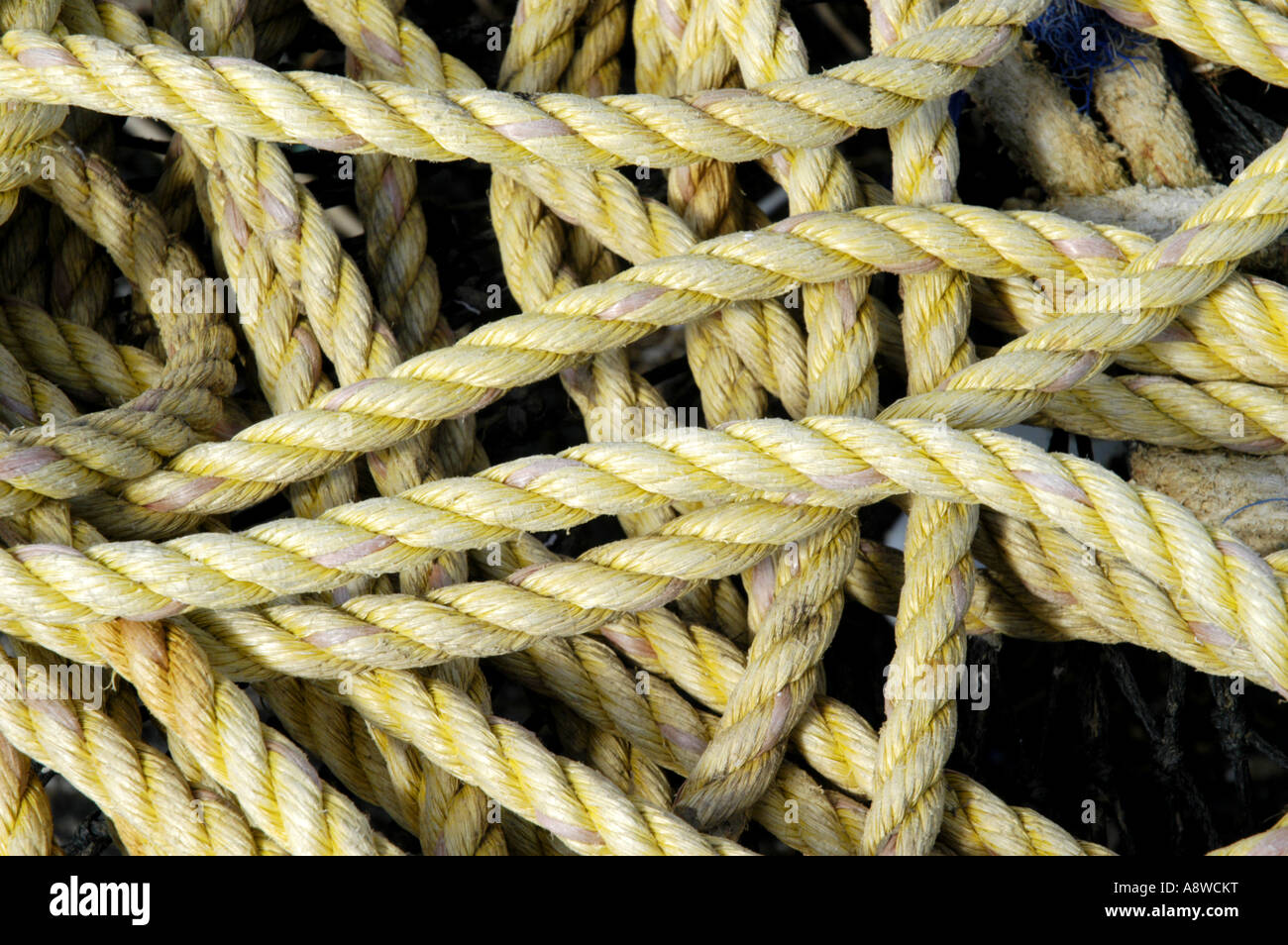 Pile of rope Stock Photo - Alamy