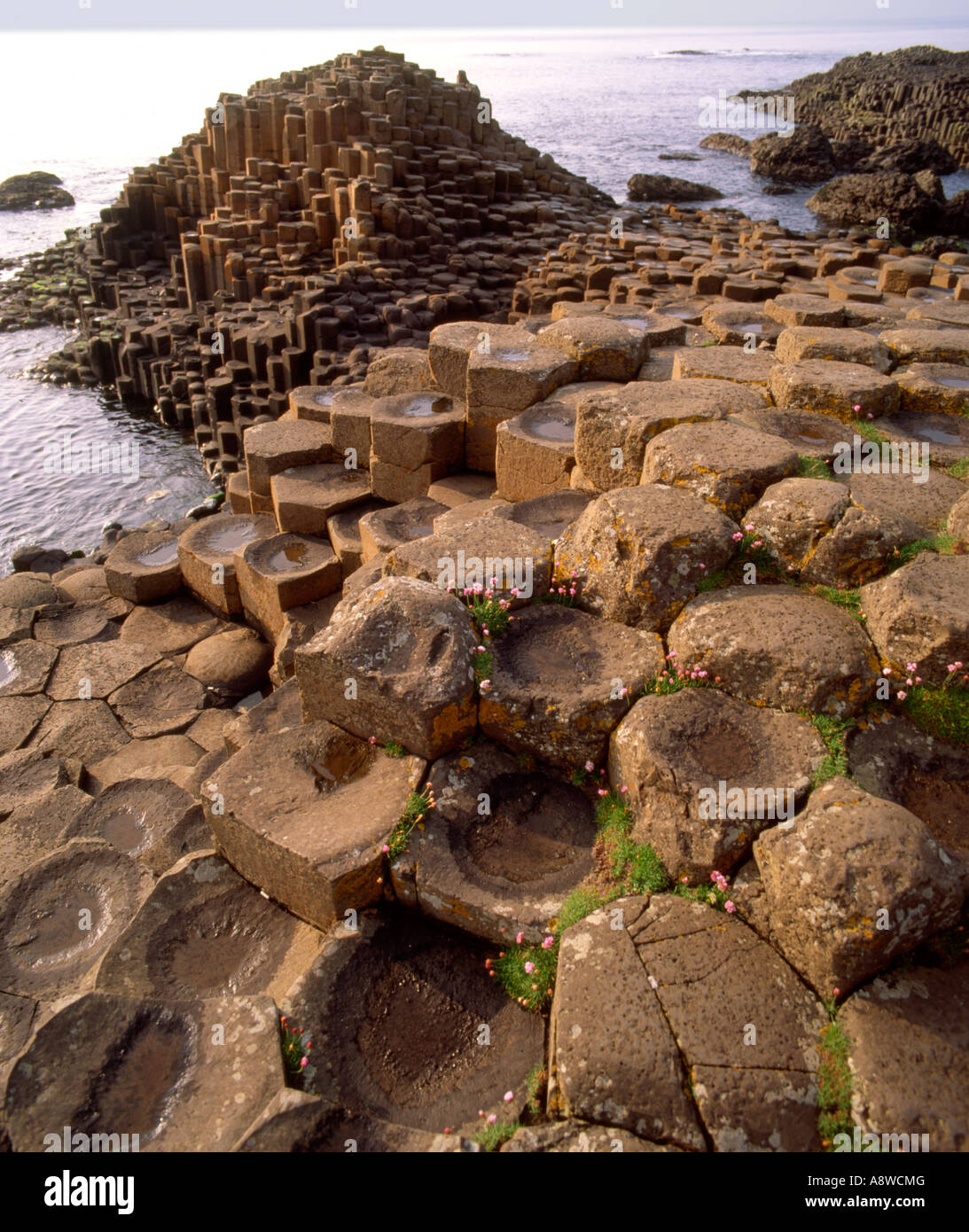 A.P. SITE — circular enclosure in Divis