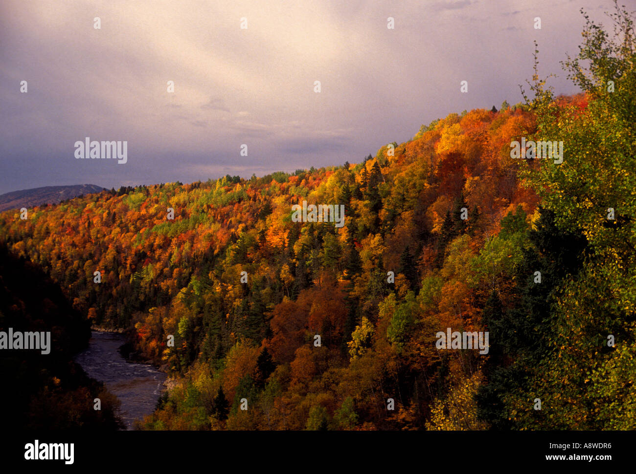 Les SeptChutes, waterfall, SaintFerreollesNeiges, Capitale