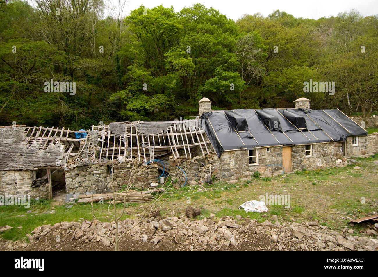 derelict old welsh long house being renovated rebuilt and repaired