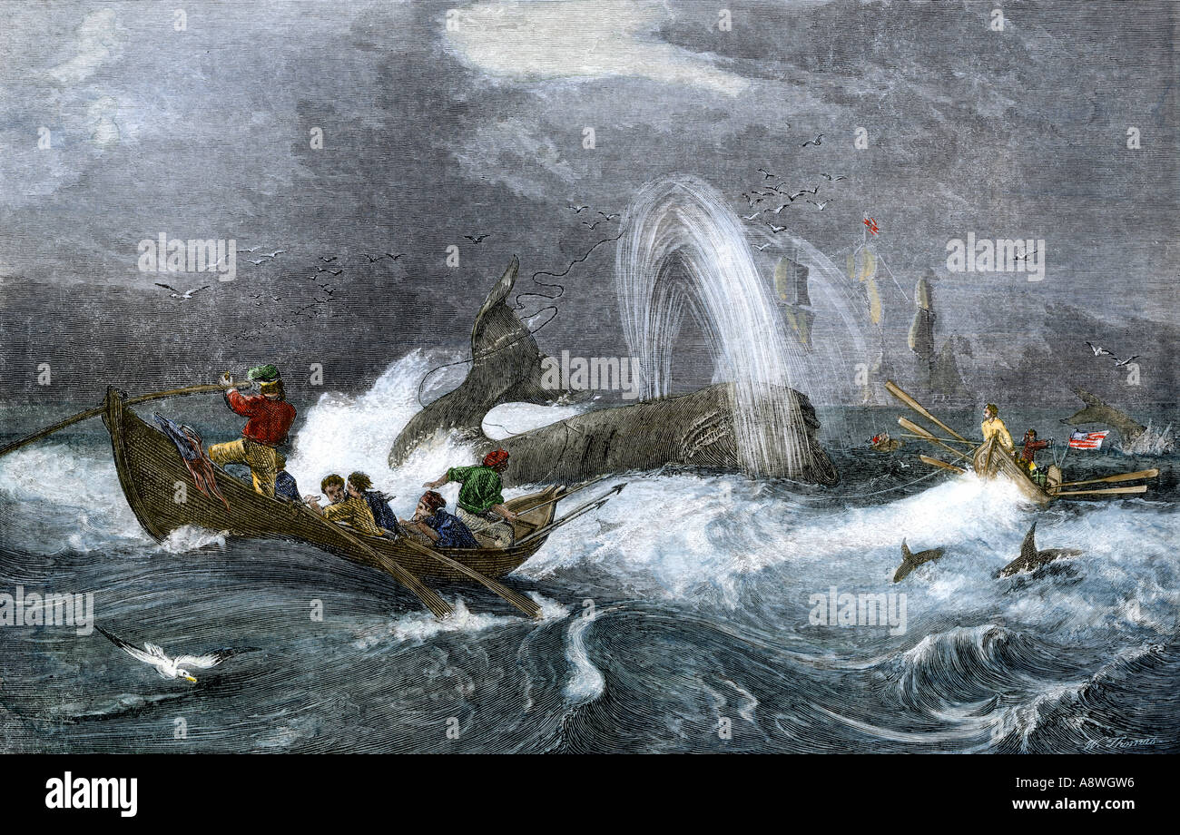 South Sea whaling in the 1800s. Hand-colored woodcut Stock Photo