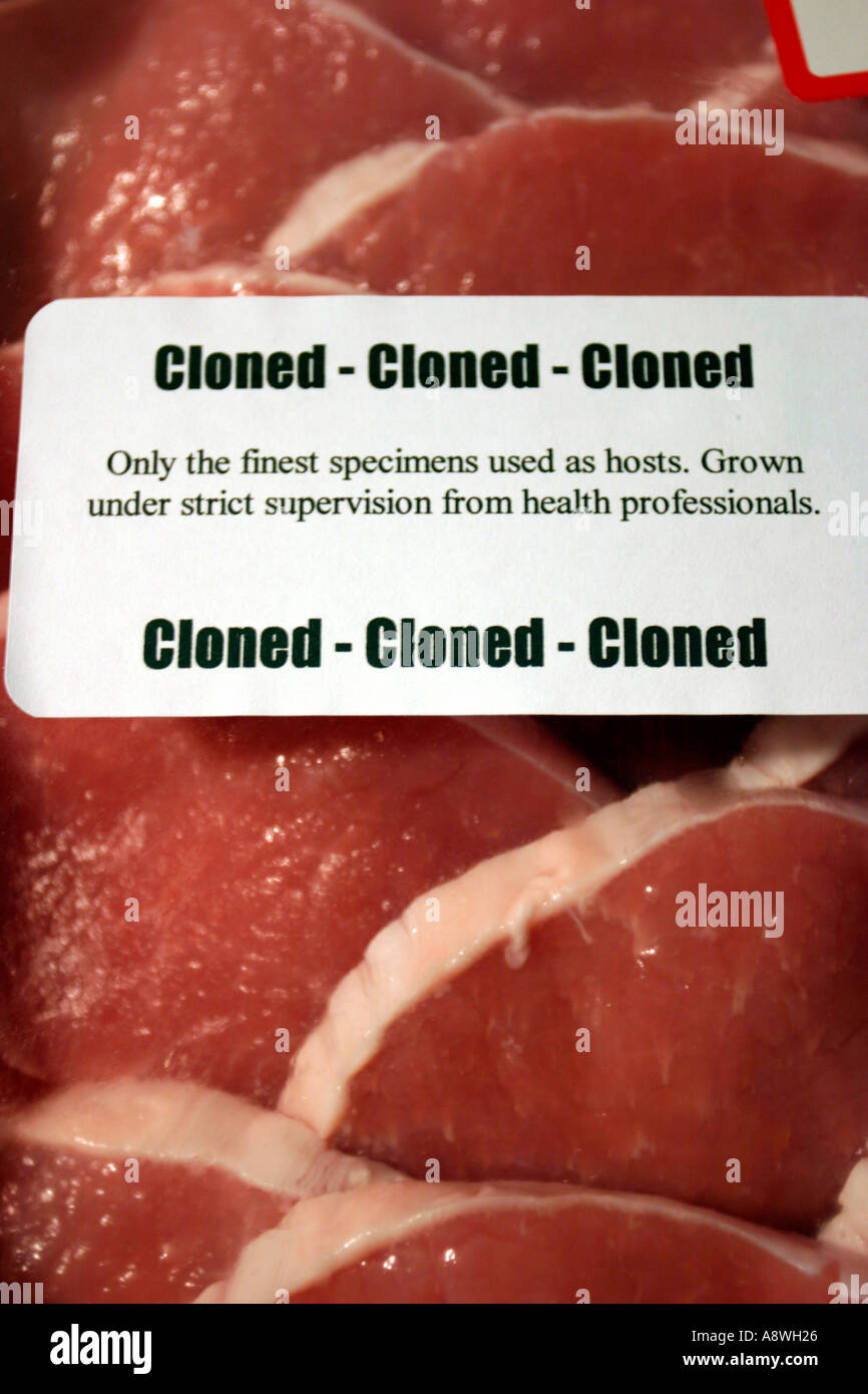 Cloned meat Not real cloned meat but this could be the future Stock Photo - Alamy