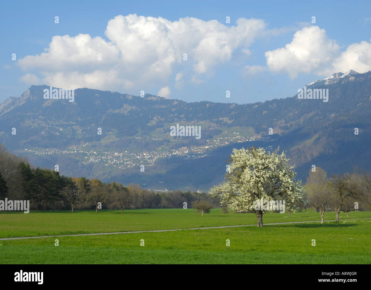 View from Balzers towards Triesenberg and Gaflei in beautiful spring