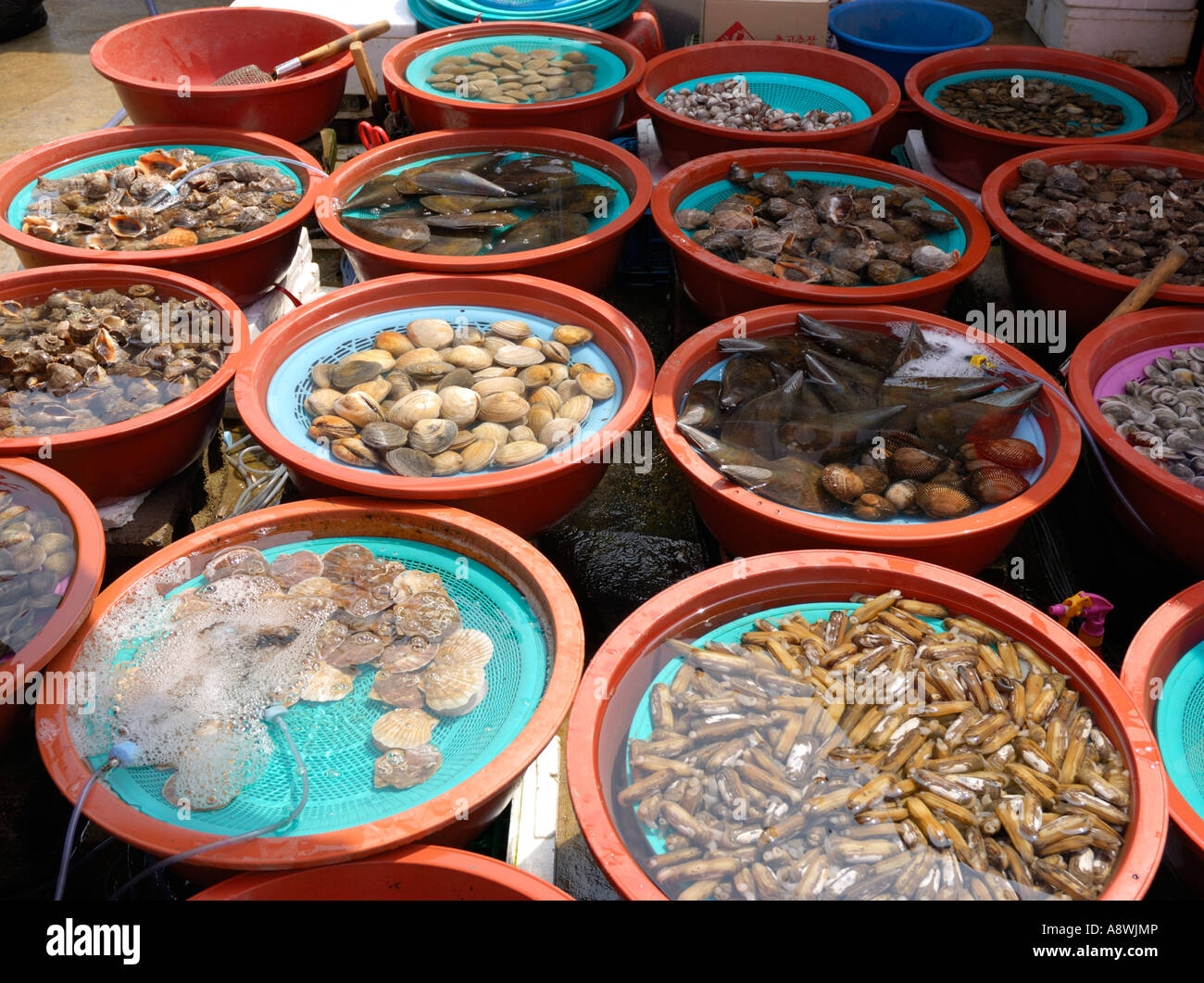 A seafood street market at the coast, Dangjin KR Stock Photo - Alamy