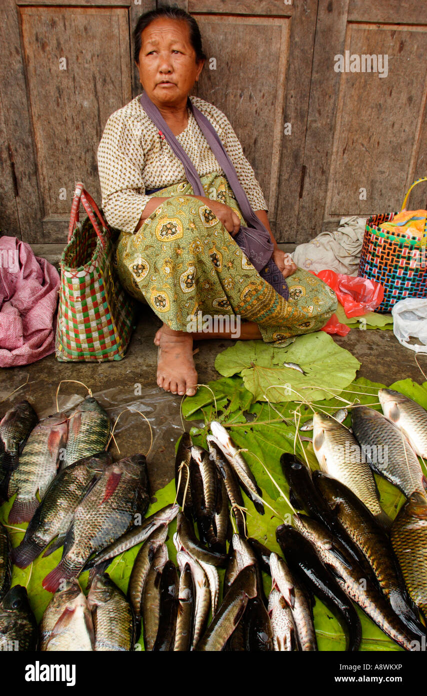 Asia, Myanmar, Nyaungshwe, Burmese woman selling fish at morning market Stock Photo