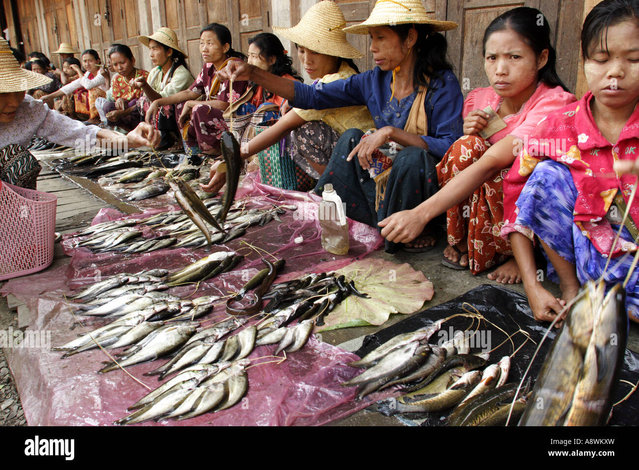 Asia, Myanmar, Nyaungshwe, Burmese women selling fish at morning market Stock Photo