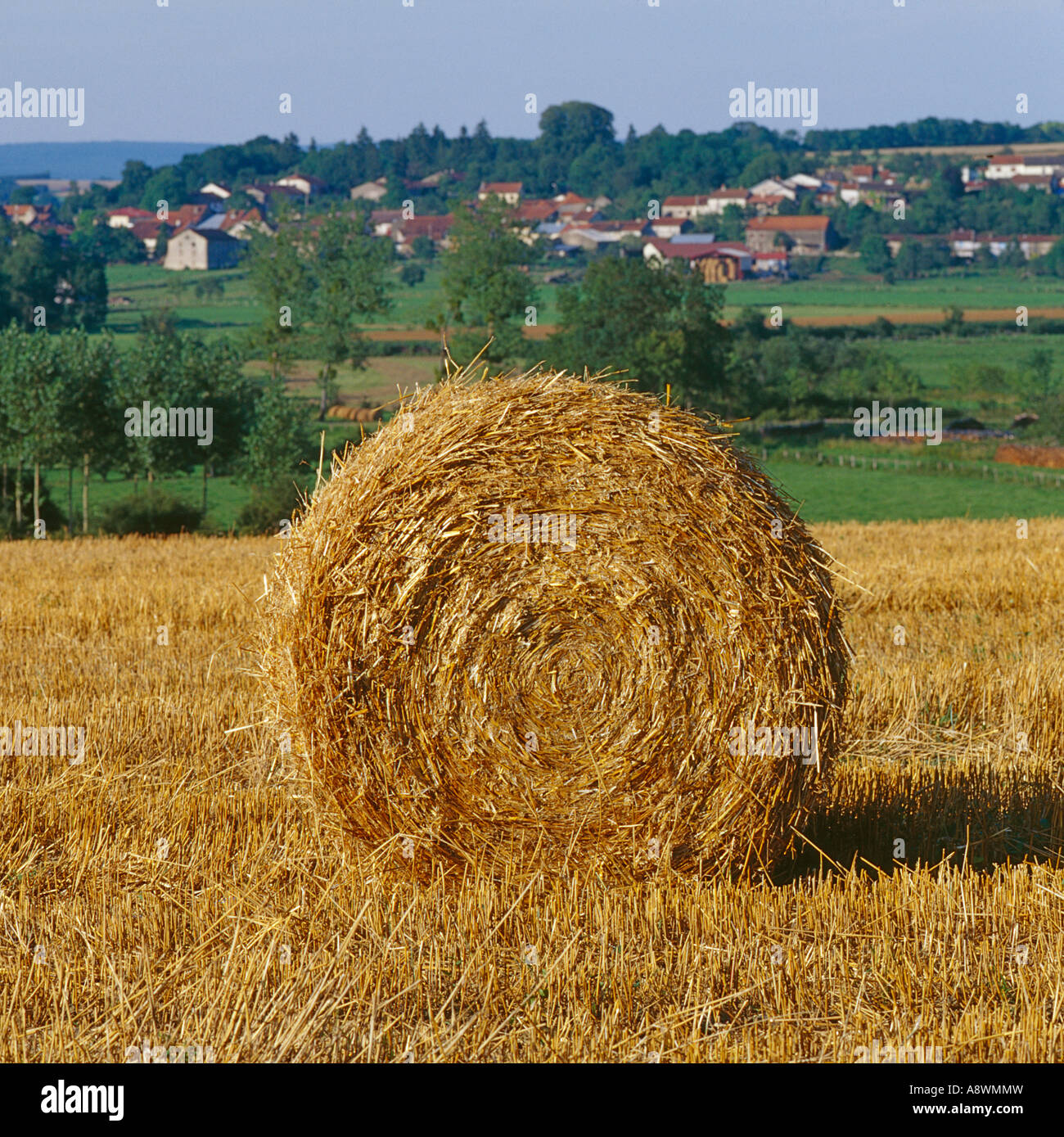 ROUND STRAW BALE IN A FIELD IN BURGUNDY FRANCE Stock Photo Alamy