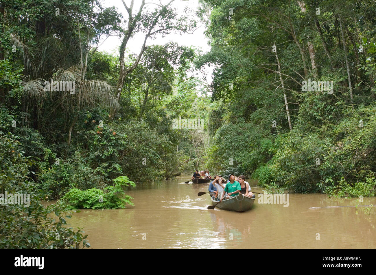 A group of tourists on a canoe trip on a tributary of the Amazon river  Stock Photo - Alamy