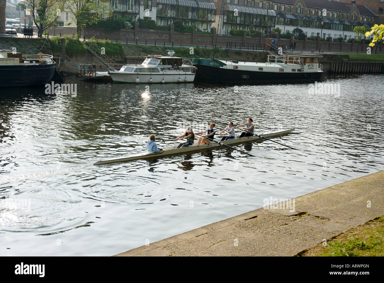 Rowing on the River Ouse, York Stock Photo Alamy