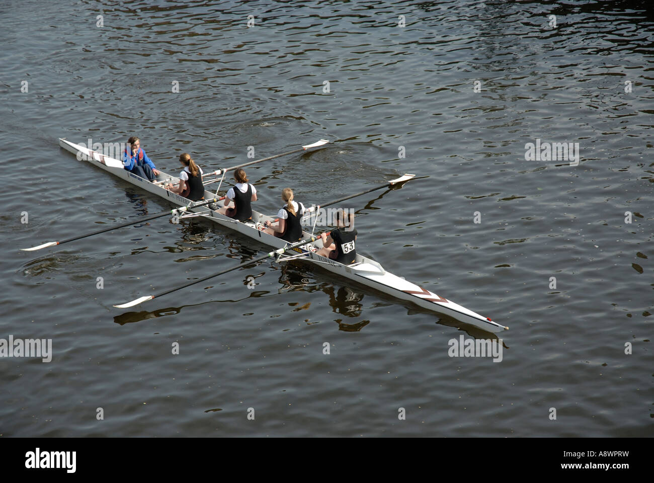 Rowers on the River Ouse,York, England Stock Photo Alamy