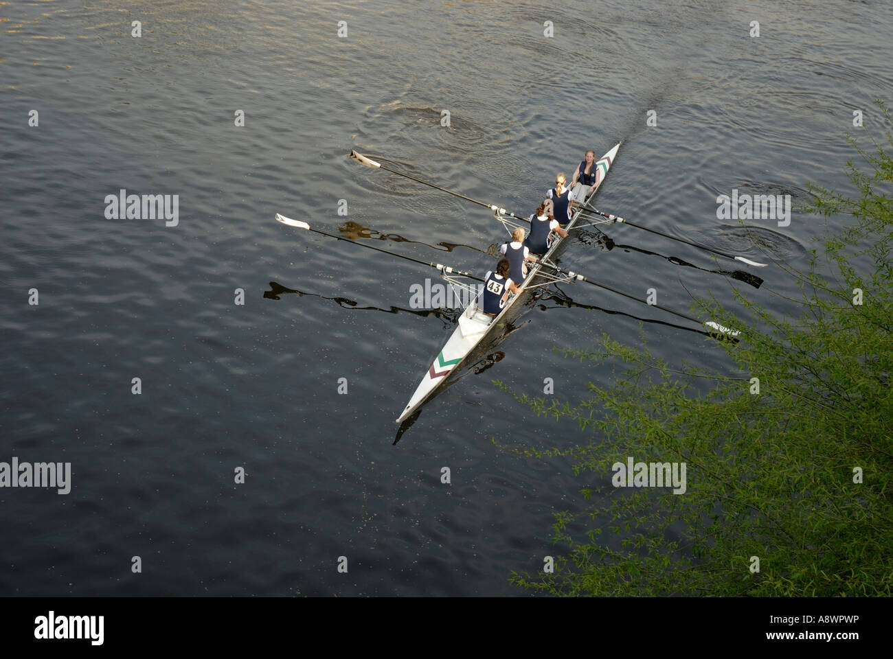 Rowers on the River Ouse,York, England Stock Photo