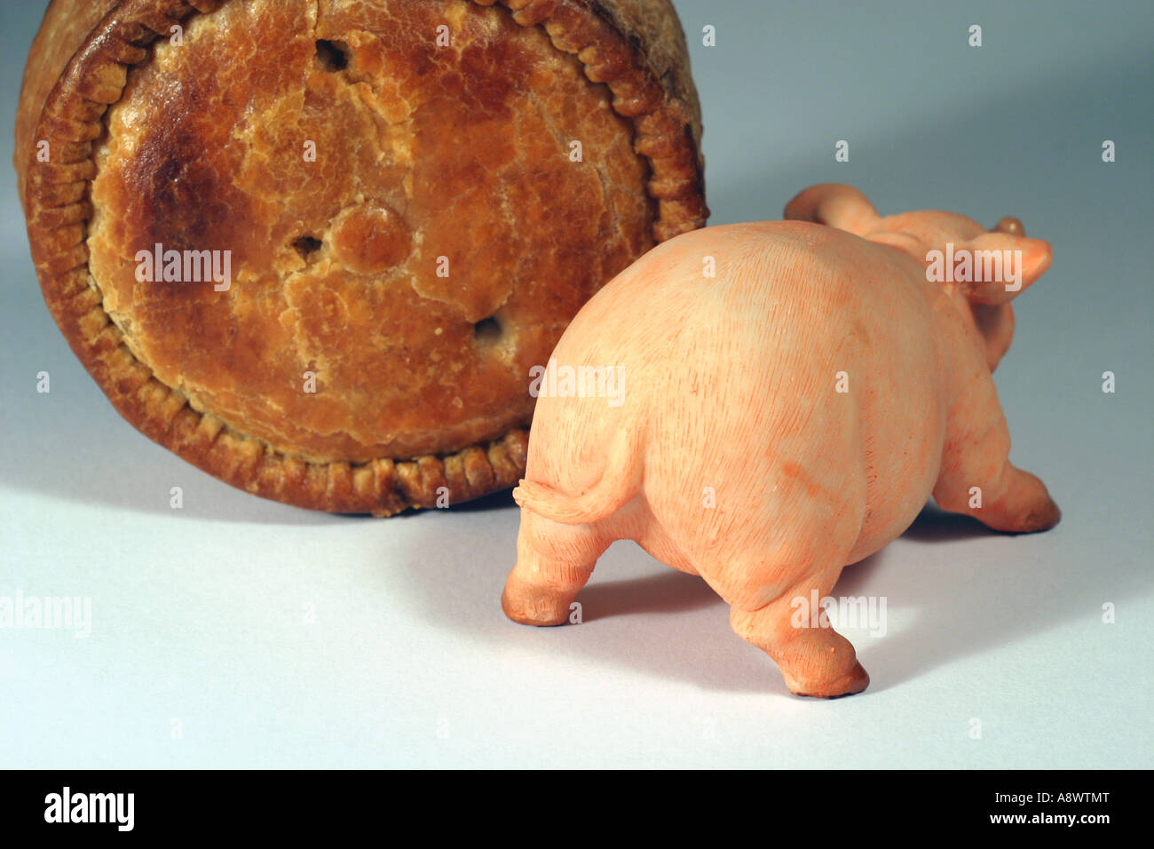 Pork pie with china pig Stock Photo