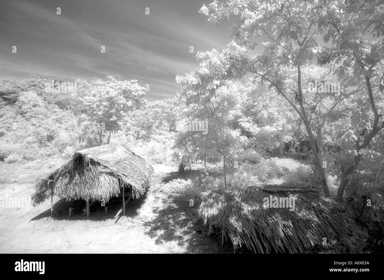 Indian hut Peru Stock Photo