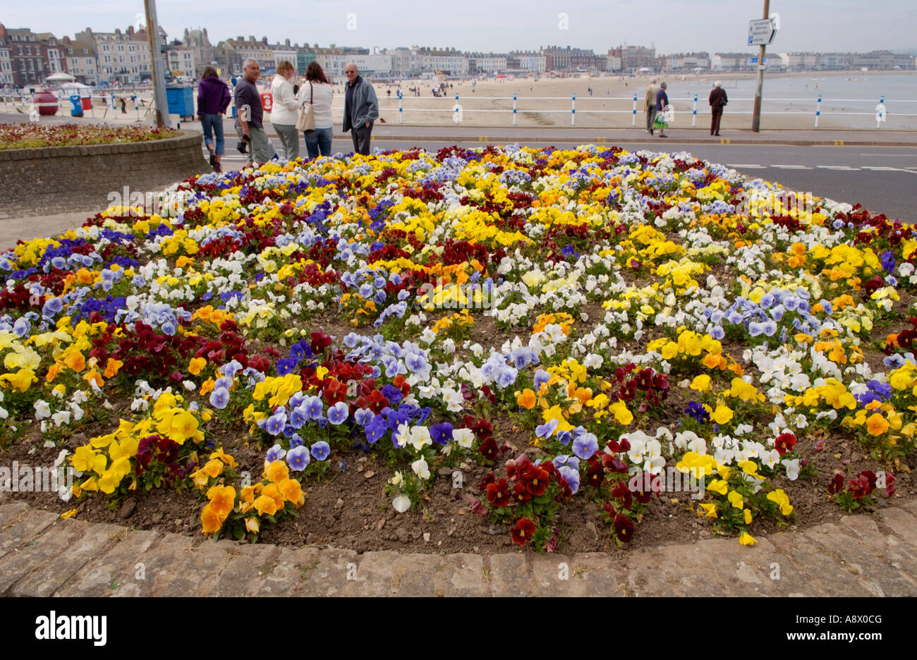 Flowerbeds in formal public gardens on the seafront at Weymouth Dorset Southern England UK Stock Photo