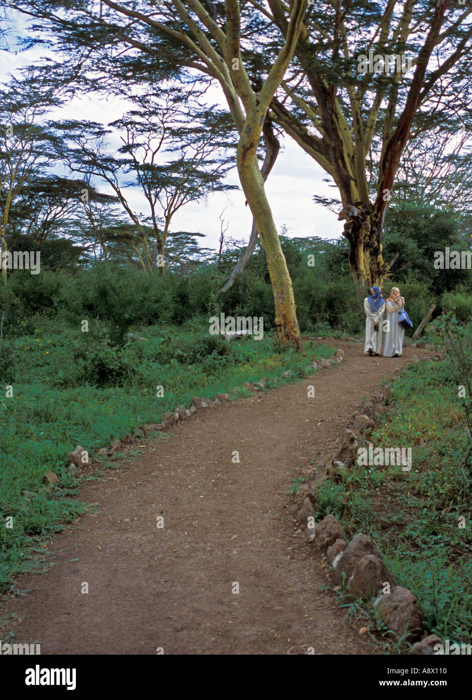 KENYA Nairobi National Park Muslim women walk on path in Nairobi National Park Kenya Africa Stock Photo