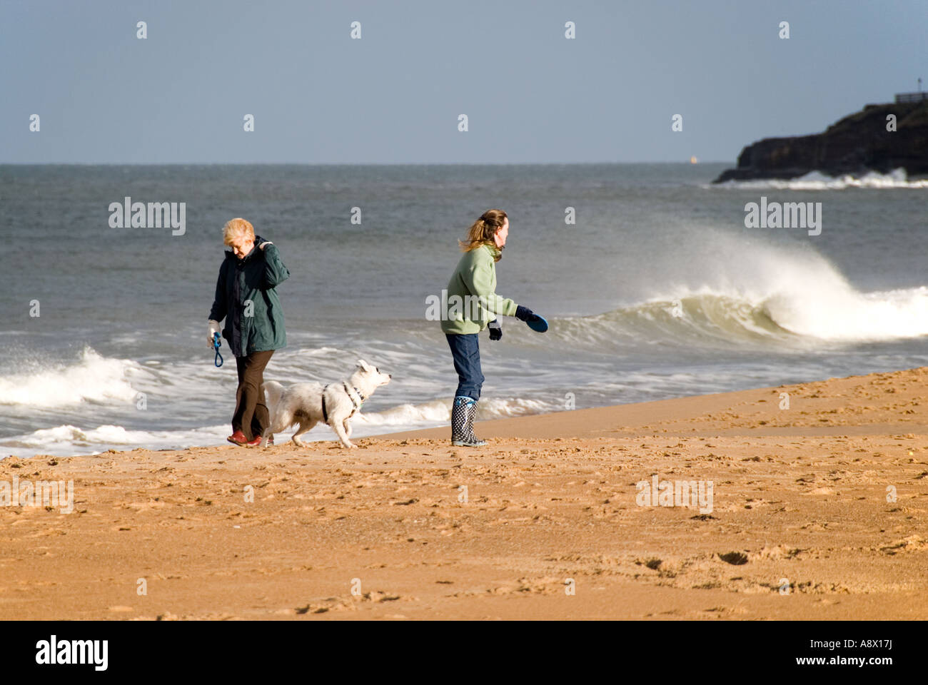 Two women walking a dog on the beach as waves break and a strong wind carries away the spray. Stock Photo