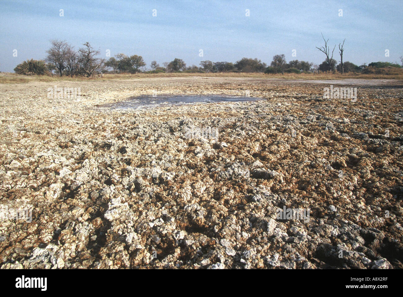 Evaporated salts, Okavango Stock Photo Alamy
