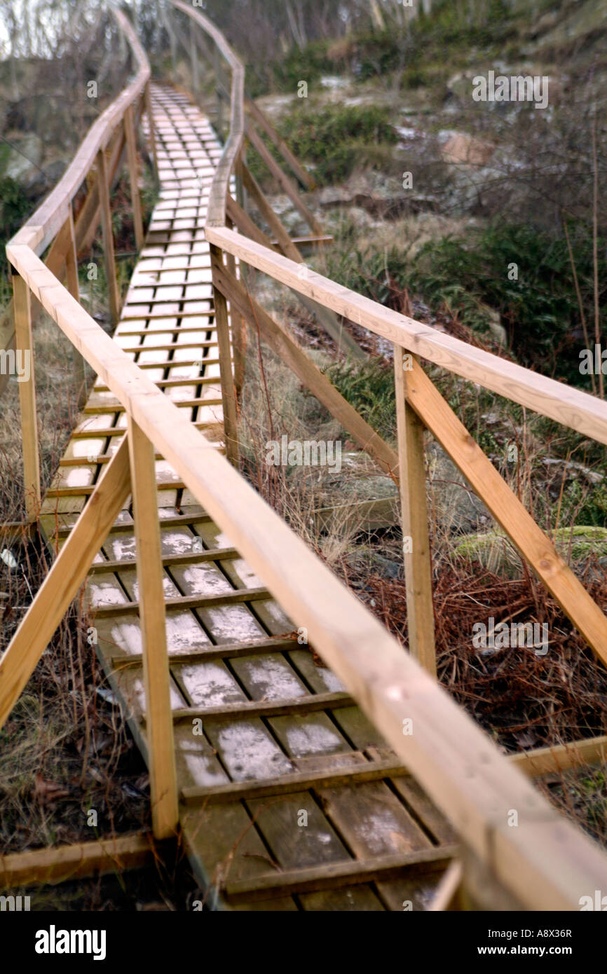 Wooden bridge traversing over swampy terrain Stock Photo
