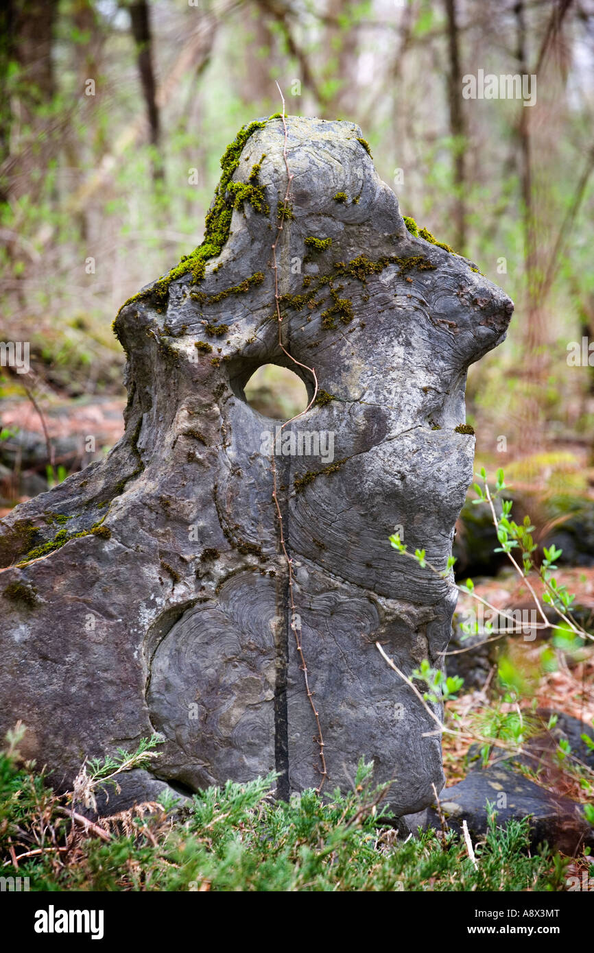 Strange rock formations Petrified Sea Gardens Saratoga Springs New York Stock Photo